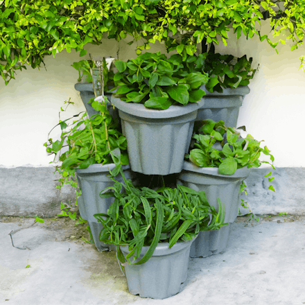 Multi-Pot Planter | Sml 2 for £10 / Lrg 2 for £15